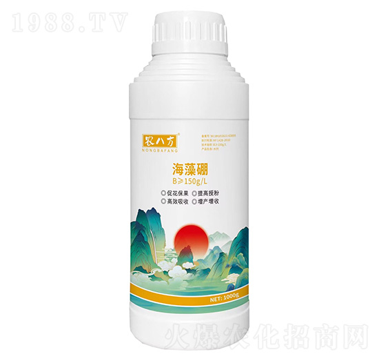 ������1000g-�r�˷�