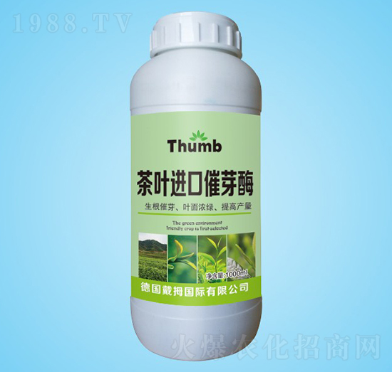 ���~�M�ڴ�ѿø-����r�I(y��)