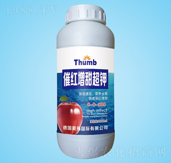 �߼t�����-����r(n��ng)�I(y��)