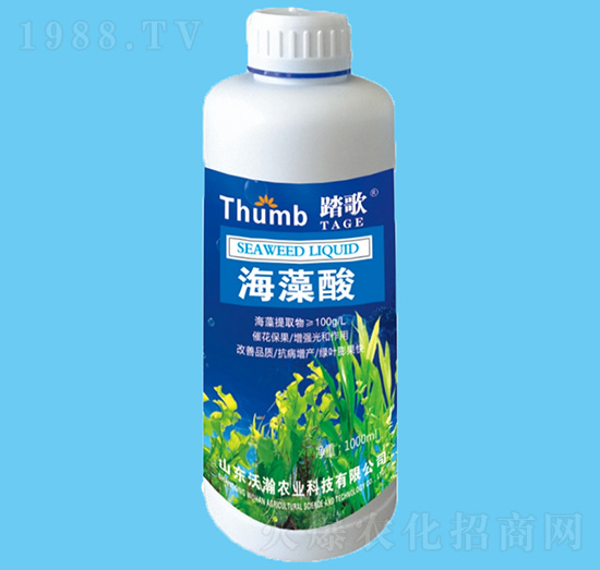 ������-̤��-����r(n��ng)�I(y��)