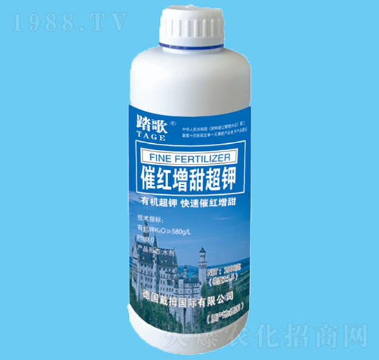 �߼t�����-̤��-����r(n��ng)�I(y��)