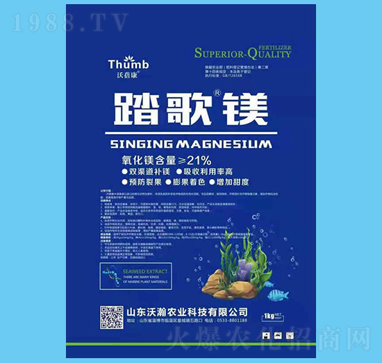 ̤���V-������-����r�I(y��)