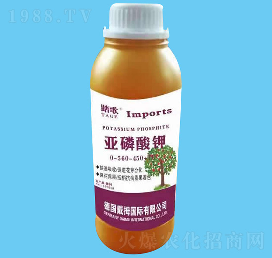 �������-̤��-����r�I(y��)