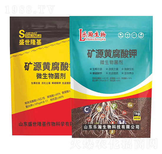 �VԴ�S�����-΢�������-ʢ��¡��