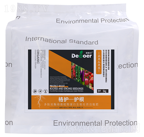 ���o-�o�����ѹ��-�ϸ�