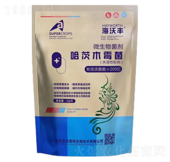 ����ľù��-�����S-��������