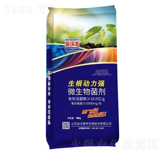 ΢�������-����������(qi��ng)-�����S-��������