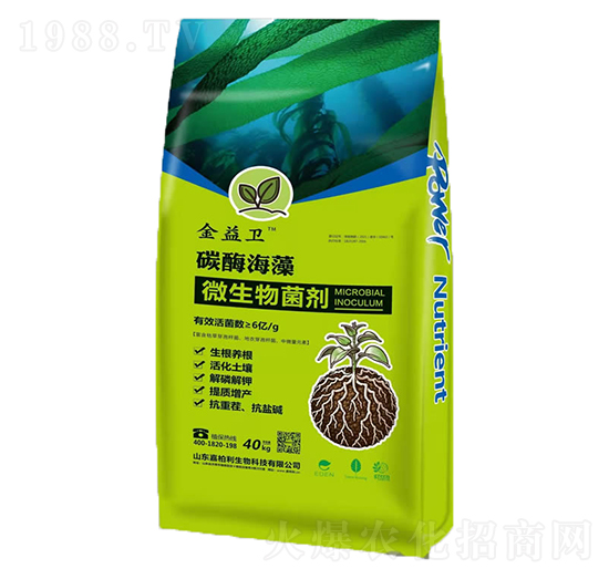 ̼ø����΢�������-�����l(w��i)-�ΰ���