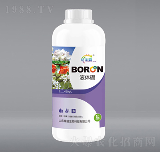 1L������-��ʢ����