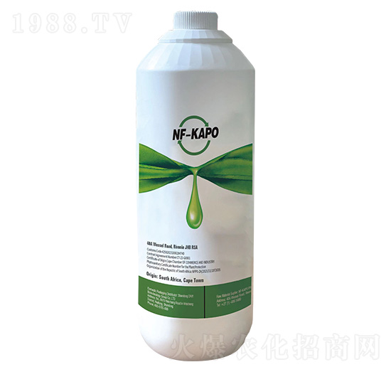 NF-KAPO-���o���x