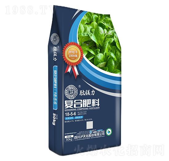 �ͺϷ���18-5-6-���V��-���r-�o�컯