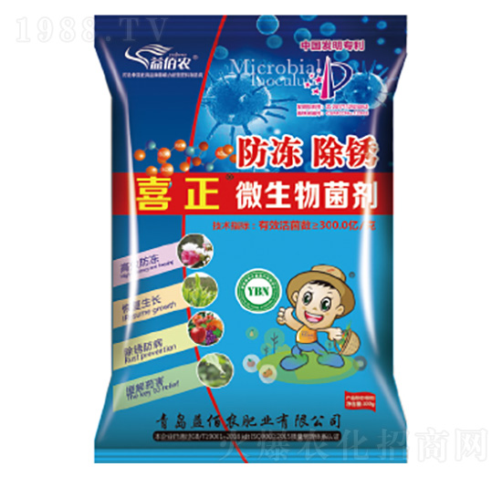 ΢�������-�������P-����r�ʘI(y��)