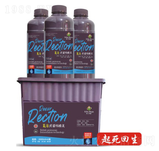 ��(f��)�����砀���`-��(��i)������