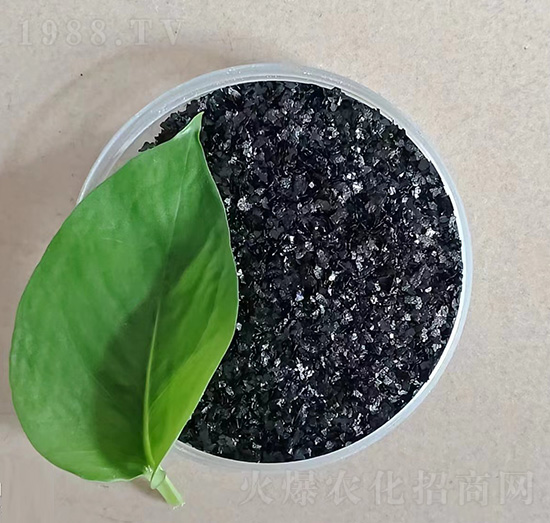 ���徫ԭ��-��֮��