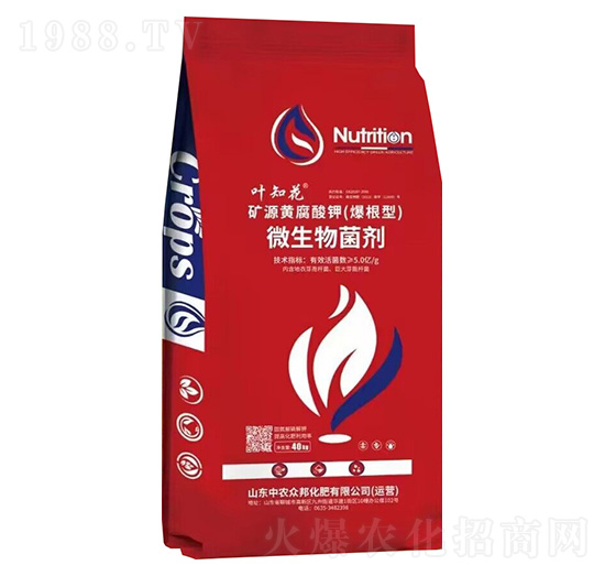 �VԴ�S����⛣�������)-�~֪��-���r����