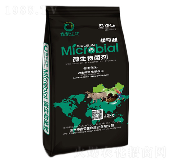 ΢�������-������-�Θs��-�Θs����