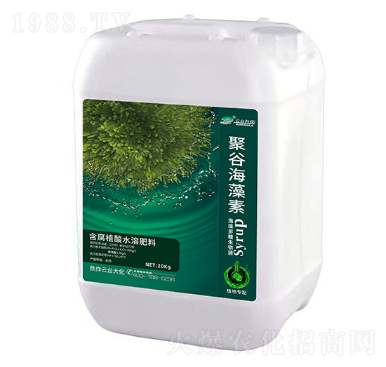 �۹Ⱥ�����-���_��