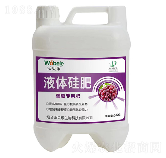 ���ь���Һ�w���-��ؐ��