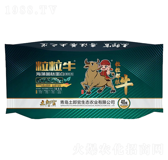 ��������������ĵ���-���ɹ�