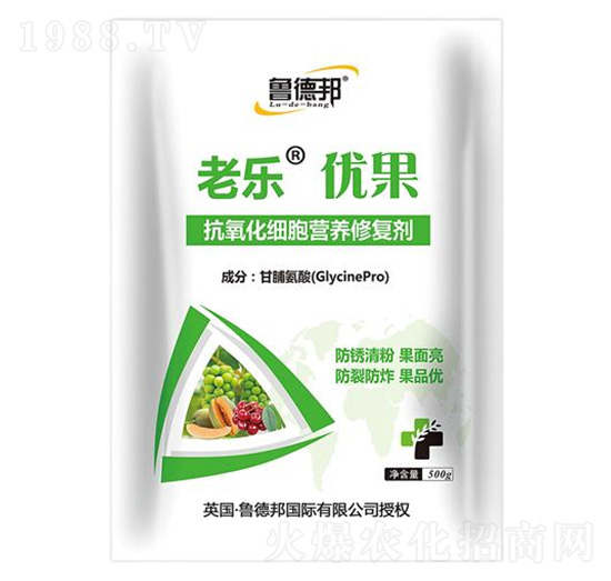 500g�����������I�B(y��ng)�ޏ̈́�-�Ϙ���(y��u)��-��?sh��)°? style=