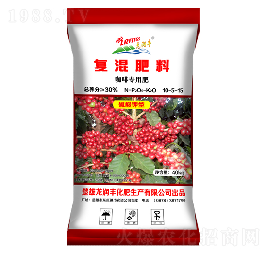 ���Ȍ��Ï�(f��)�����10-5-15-����(r��n)�S