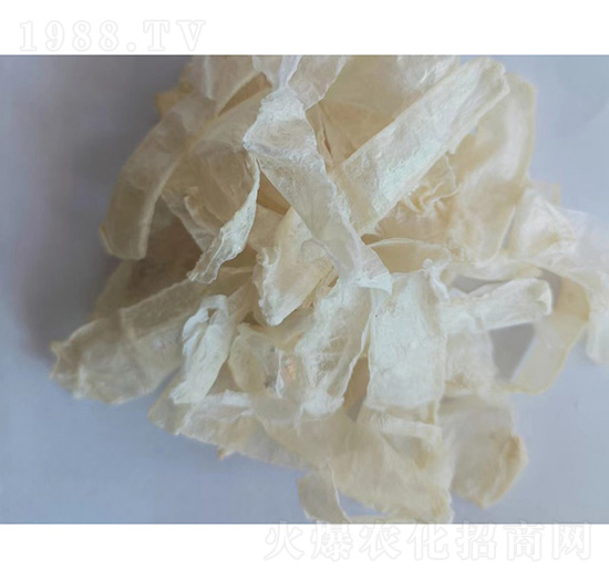 ����˹��ѩз������-�ɝ�(r��n)����