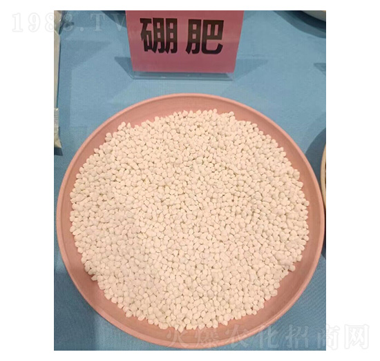 ���-���ɽ�