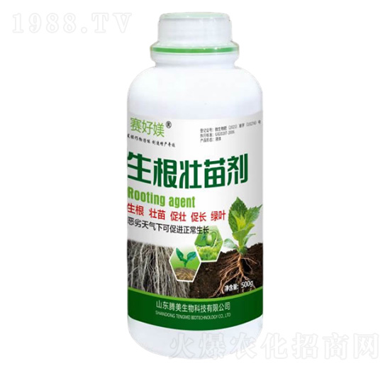 �������焩-�v������