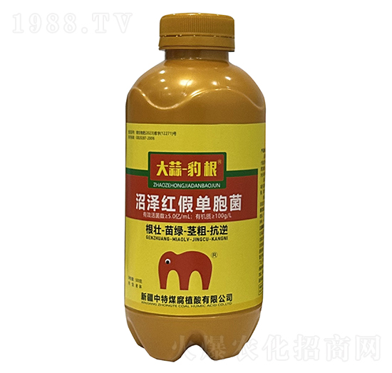 �ӝɼt�نΰ���-���⡤����-����ú