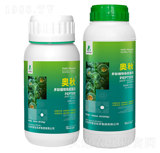 ����ֲ�����ߵ���-�W��-���r(n��ng)�W��