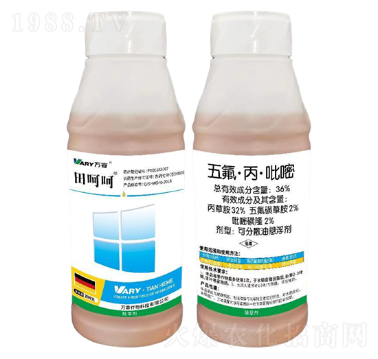 36%�������������-��Ǻ�-�f(w��n)��