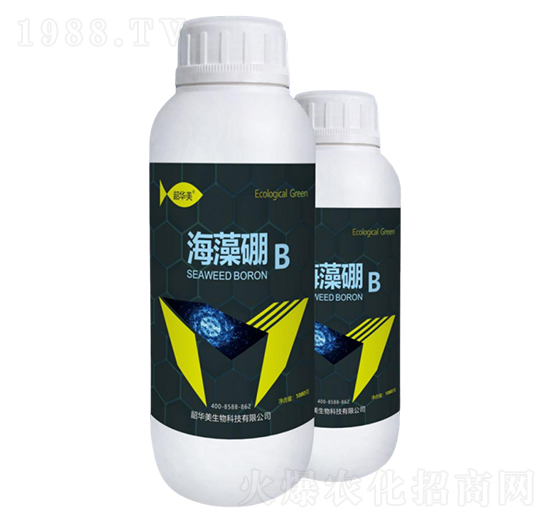 ������-���A��