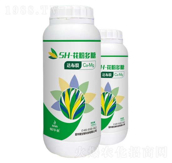 SH-���۶���-�_(d��)����-���A��