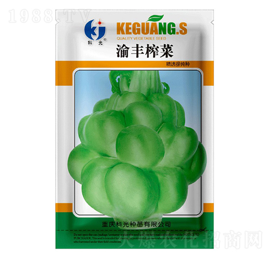 ���Sե��-�ƹ�N��