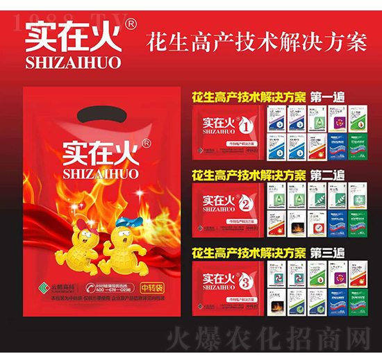 花生高產(chǎn)技術(shù)解決方案-實(shí)在火-紅太陽(yáng)