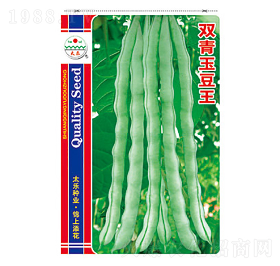 �����N��-�p������-̫���N�I(y��)