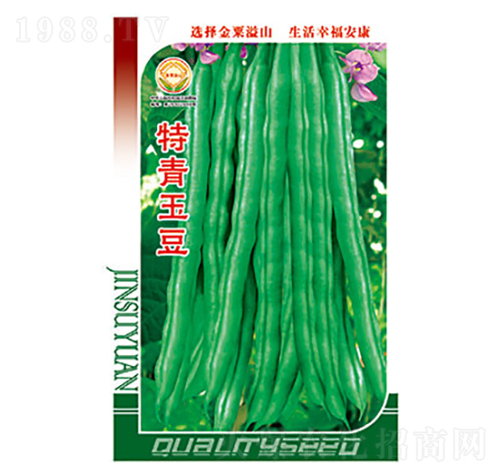 豇豆種子-特青玉豆-太樂種業(yè)
