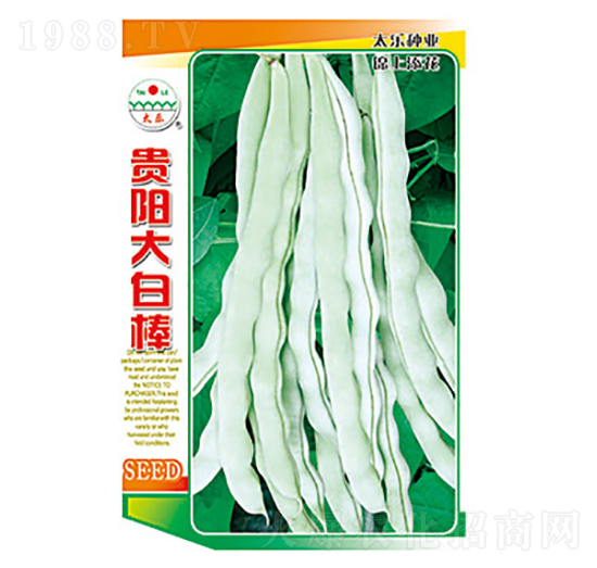 �����N��-�Fꖴ�װ�-̫���N�I(y��)