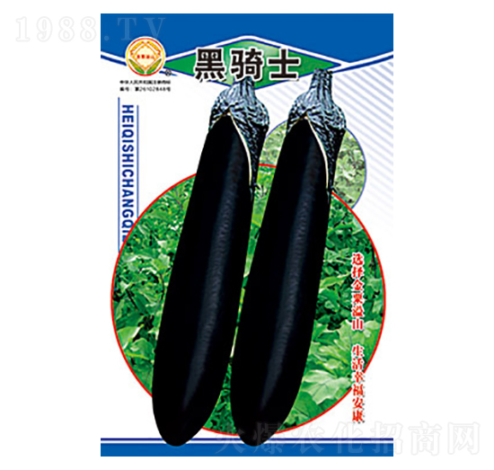 ���ӷN��-���Tʿ-̫���N�I(y��)