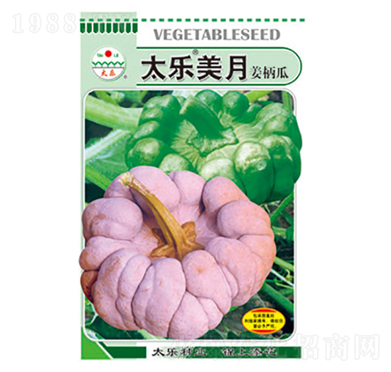 姜柄瓜種子-太樂美月-太樂種業(yè)