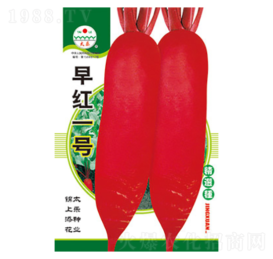 �}���N��-��tһ̖(h��o)-̫��(l��)�N�I(y��)