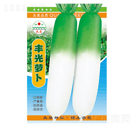 蘿卜種子-豐光蘿卜-太樂(lè)種業(yè)