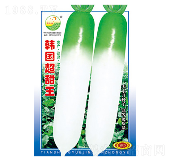 �}���N��-�n��(gu��)������-̫���N�I(y��)