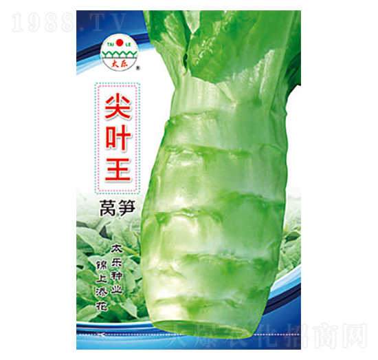 �n�S�N��-���~��-̫��(l��)�N�I(y��)