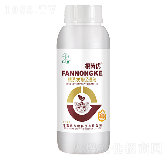 ��ϵ�l(f��)�����M(j��n)��-���ǃ�(y��u)-���r(n��ng)��