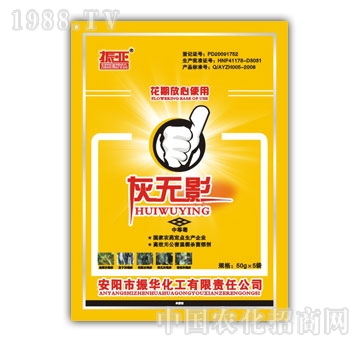 ���A����-�ҟo(w��)Ӱ