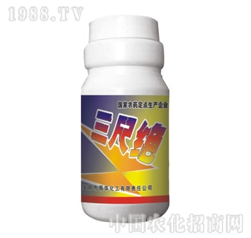 ���A����-���߽^