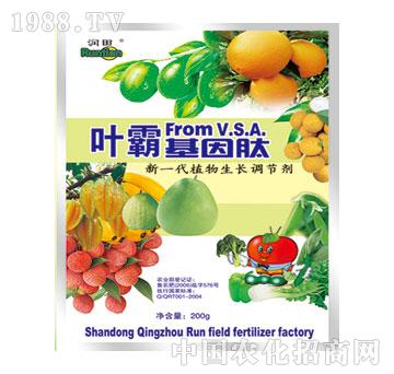 ��(r��n)��-�~�Ի�����