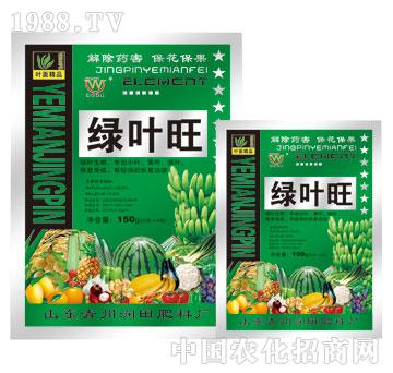 ����-�G�~��