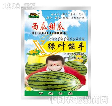 ����-������ϾG�~����